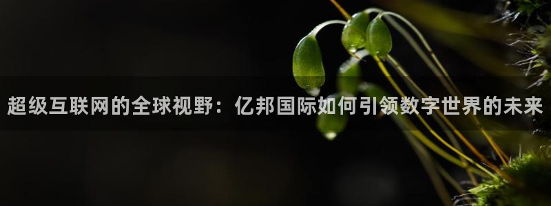杏悦app下载