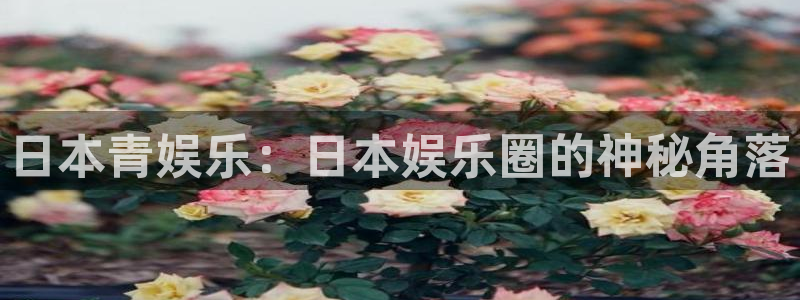 杏悦app下载地址