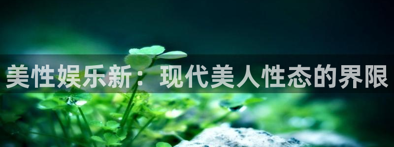 壹号大舞台28国际大舞台