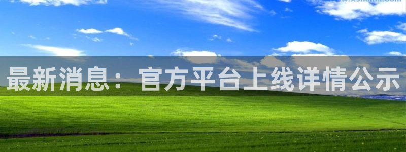 壹号top娱乐