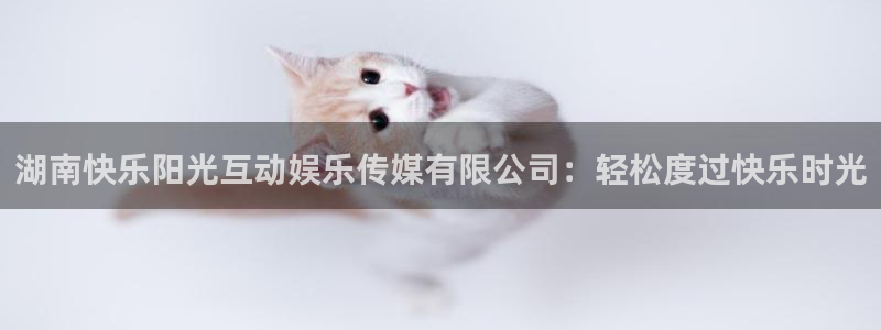 杏悦强制退款流程详解
