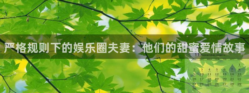 杏悦app下载安装