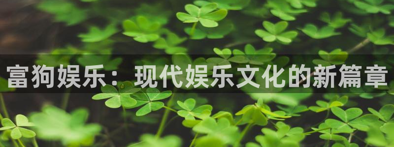 壹号top娱乐