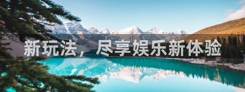 杏悦app官网下载