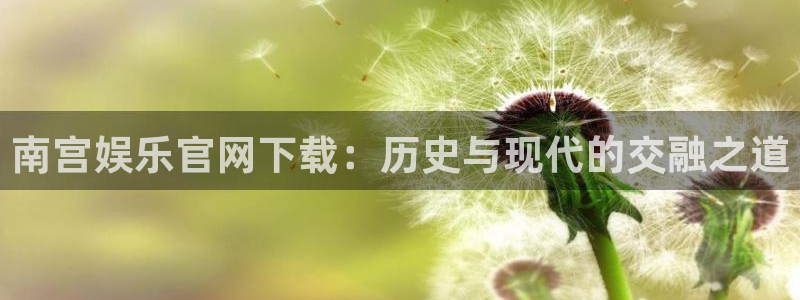 壹号电子娱乐app