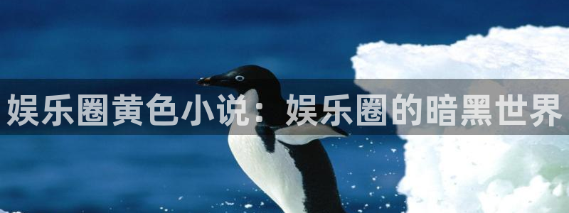 壹号下载官网入口