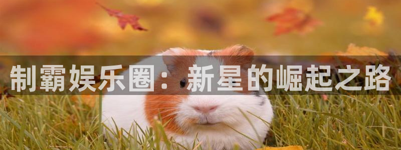 壹号app官方登录入口下载