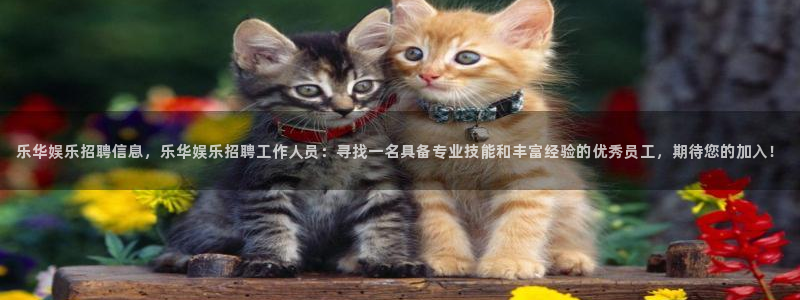 壹号大舞台官网