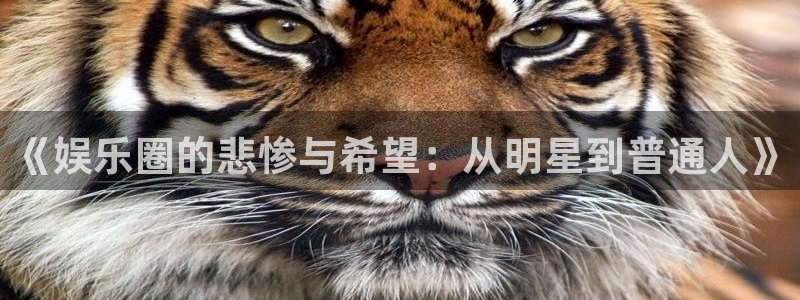 壹号注册入口app下载