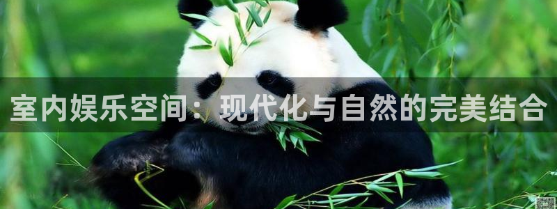 壹号平台app下载安装
