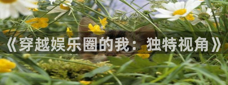 壹号电子娱乐app下载最新版本
