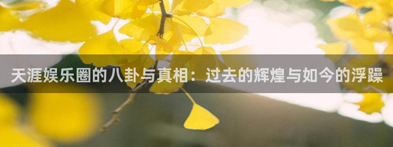 壹号电子娱乐app下载安装