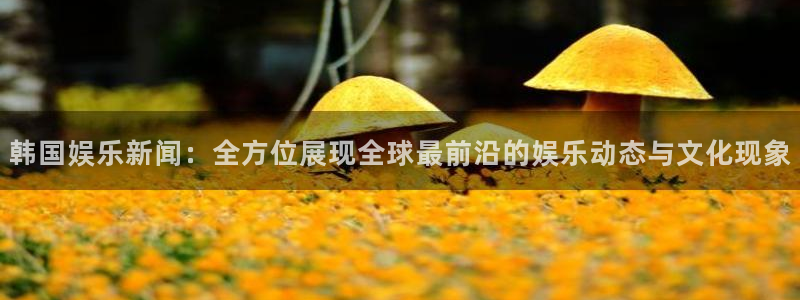 壹号大舞台娱乐传媒