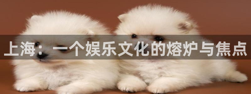 壹号下载安装