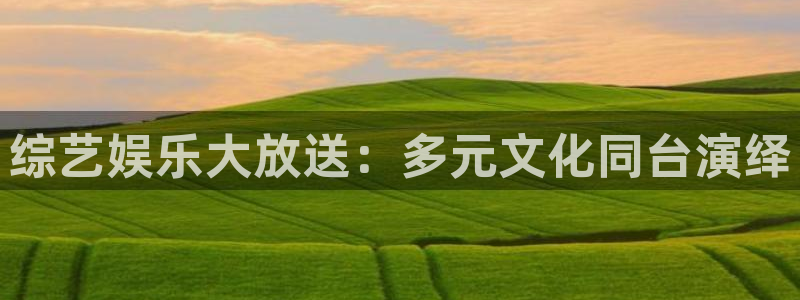 壹号注册入口app下载：综艺娱乐大放送：多元文化同台演绎