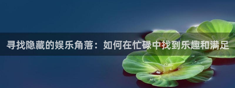 壹号大舞台下载链接：寻找隐藏的娱乐角落：如何在忙碌中找到乐趣和满足