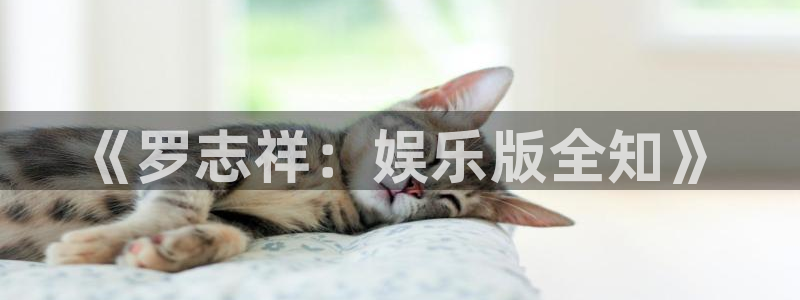 杏悦科技赋能,让平台更有趣：《罗志祥：娱乐版全知》