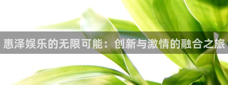 下载杏悦app：惠泽娱乐的无限可能：创新与激情的融合之旅