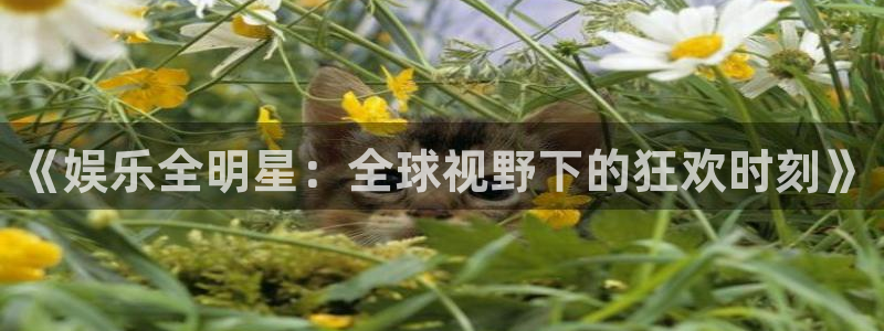 杏悦官网：《娱乐全明星：全球视野下的狂欢时刻》
