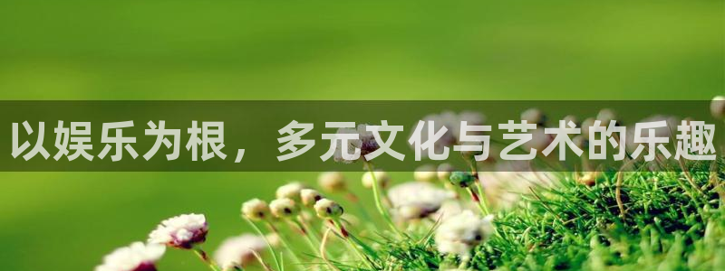 壹号大舞台：以娱乐为根，多元文化与艺术的乐趣