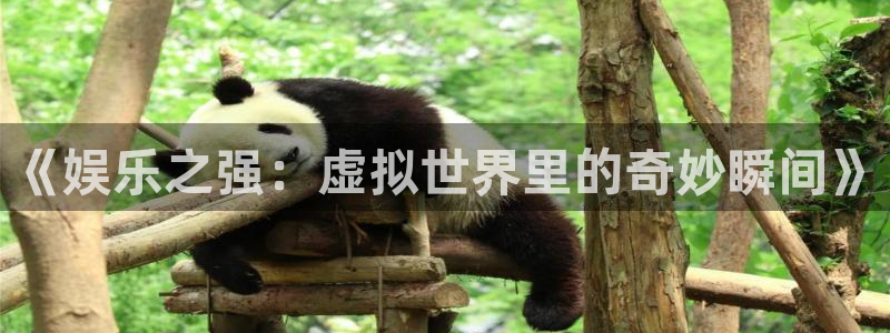 壹号平台娱乐：《娱乐之强：虚拟世界里的奇妙瞬间》